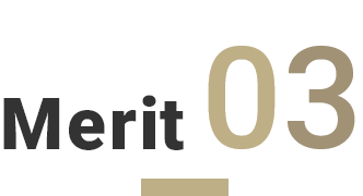 Merit03